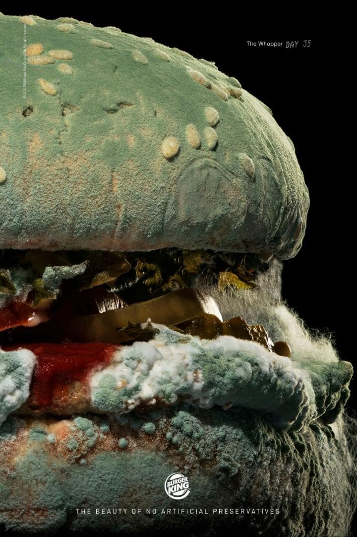The Moldy Whopper